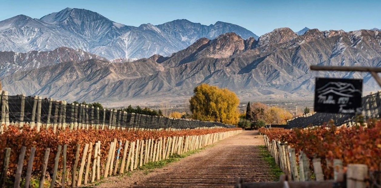 Imagen montaña viñedo